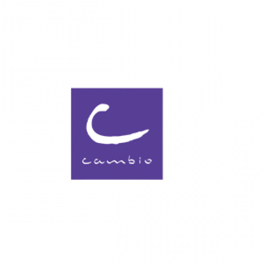 manpaard Cambio explainer motion graphics studio gent